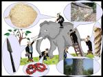 6 Blind Men and the Elephant